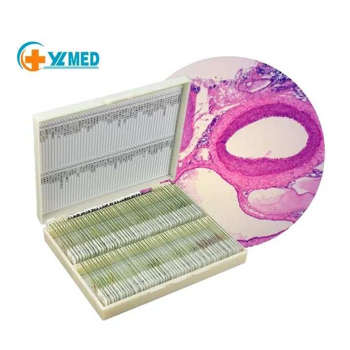 Medical Science Biology Anatomy Histology and Botany Prepared Microscope Slides 11.4*8.1*3.4cm CN;HEN YL-302 10pcs YULIN 2kgs
