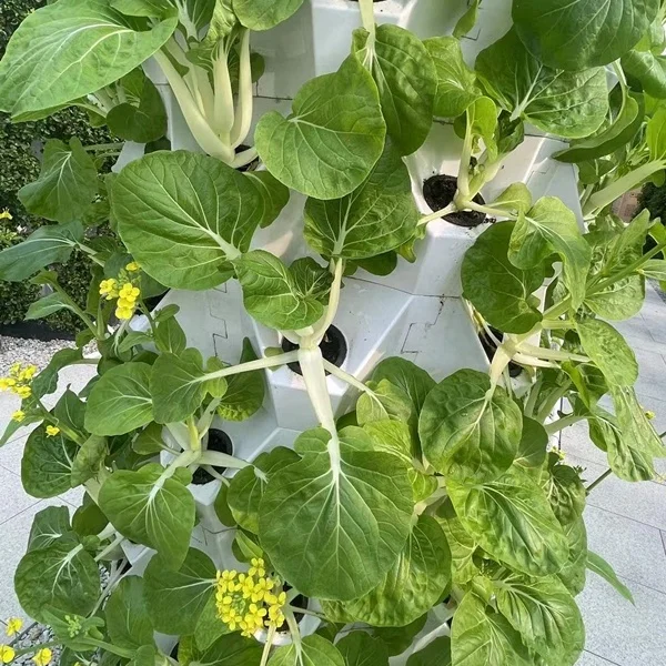 Greenhouse Soilless Cultivation Vertical Grow Tower Hydroponic Growing System