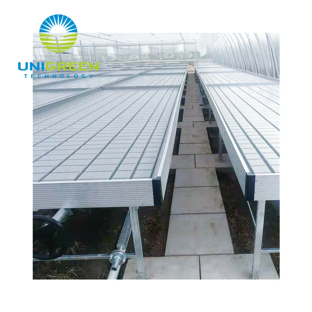 4 x 8 Inch Standard Size Sloping Table Agricultural Mobile Hydroponic Cellar with Drainage for Greenhouse and Warehouse