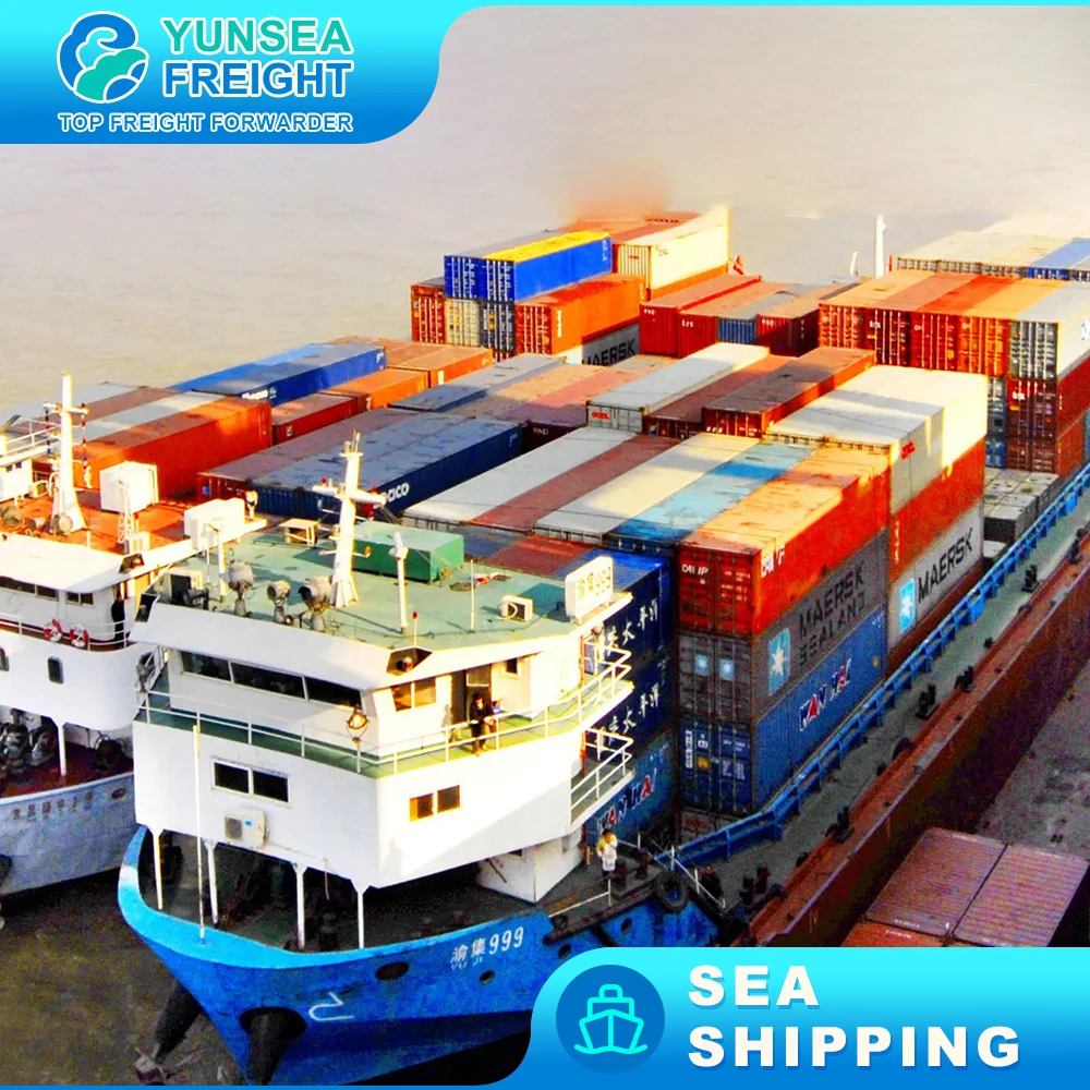 To Berne faster  Cargo DDU DDP Shipping Sea Freight Forwarder Cheapest Charge Rates Ocean Transportation to USA Transit Time
