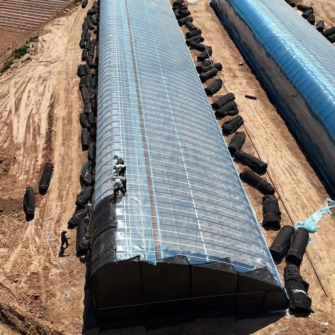 Full Steel Oval Pipe Greenhouse for Flowers Tomato Greenhouse Kit Agricultural Greenhouse Solar Green House