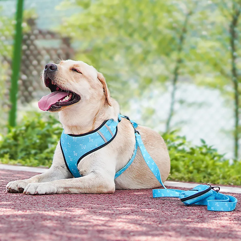 Silicone rose gold training luxurious leather gps tracker dog pet collar camera