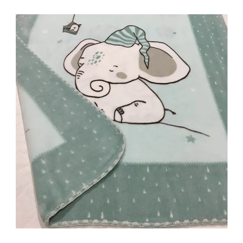 Customized Polyester Knitted Warm Soft Two Sides Heavy Printed Flannel Fleece Blanket
