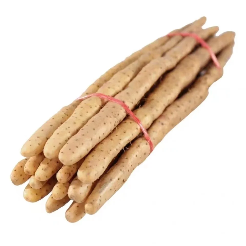 High Quality Nutritious Chinese Vegetables Fresh China  Yam for Sale