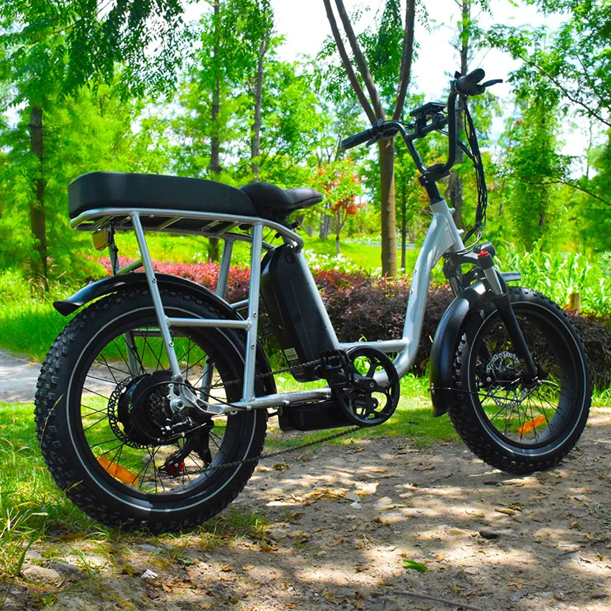 Latest 48V 500w Motor Fast Electric Mountain Bikes /Electric Bike Full Suspension Fat Tire Electric Bike