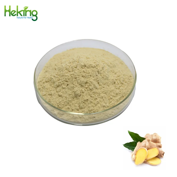 Ginger Extract gingerol powder Ginger rhizome extract