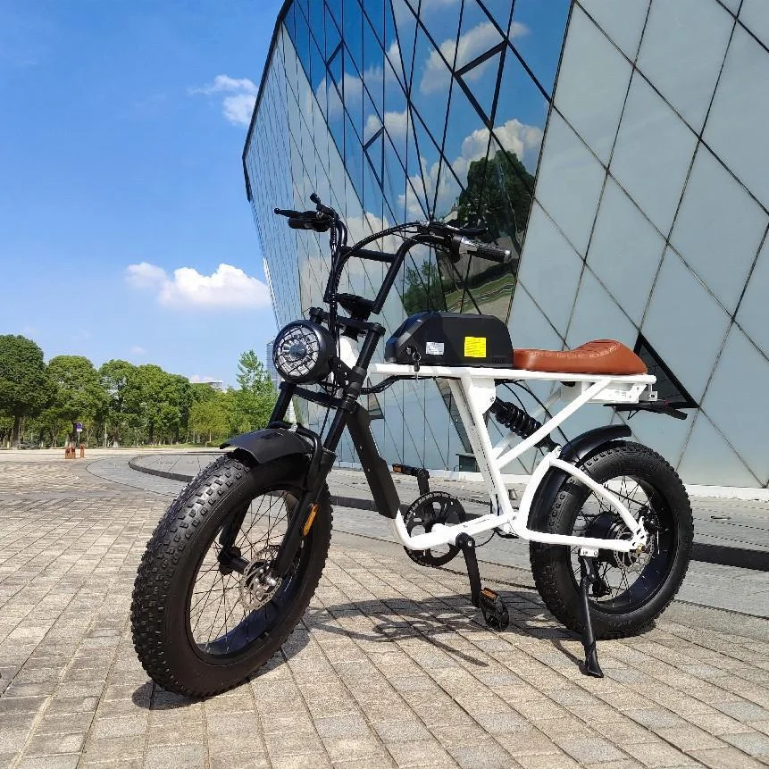 Hot Sale Eec 20inch Dutch Retro Classic Ebike City Bike Electric Bicycle 700c