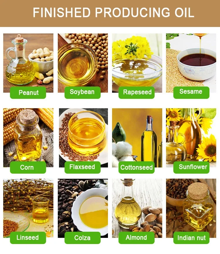 Industrial Corn Germ Mustard Sunflower Seed Oil Extractionl Machines For Small Businesses