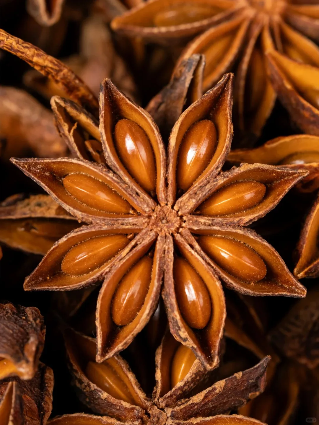 Wholesale 100% Natural Dried Whole Star Anise Hot Spicy Herb Spice with Seed and Stem Origin Direct Sales