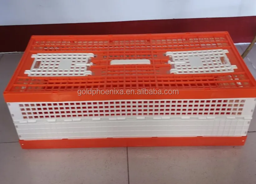 Pigeon Chicken Bird Training Box Foldable  Transport Cage