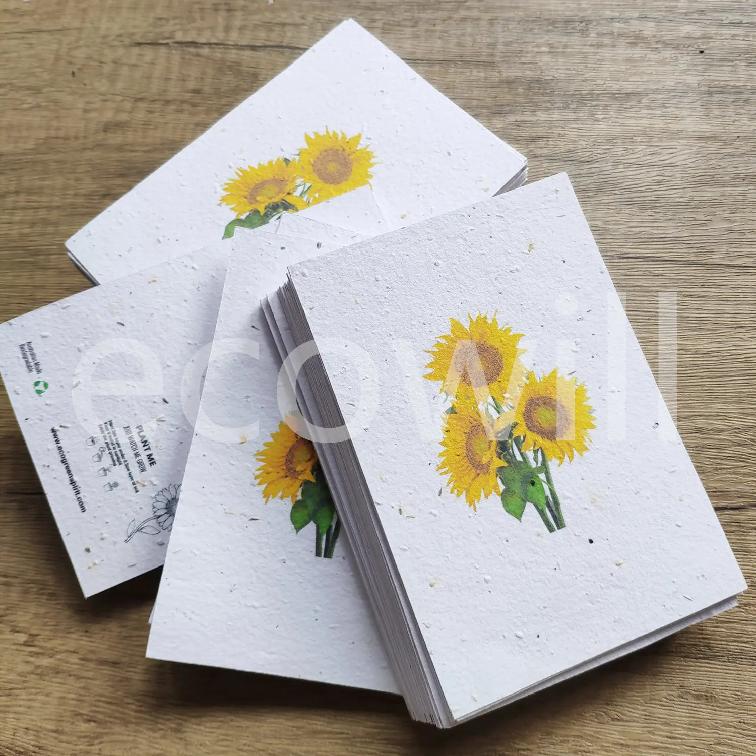 Подсолнухи, травяные семена, поздравительная открытка с растительными травами, семена овощей