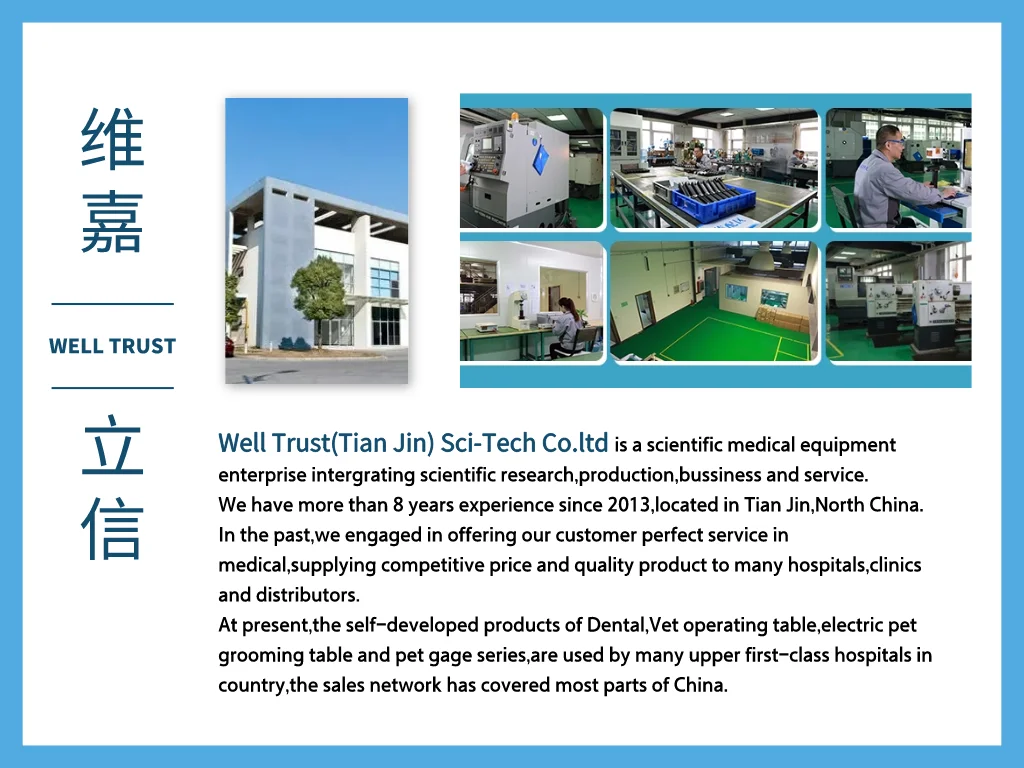 Canine Hip Distractor Retaining Collect T-shaped for CHD canine hip dysplasia checking tool vet orthopedic instrument