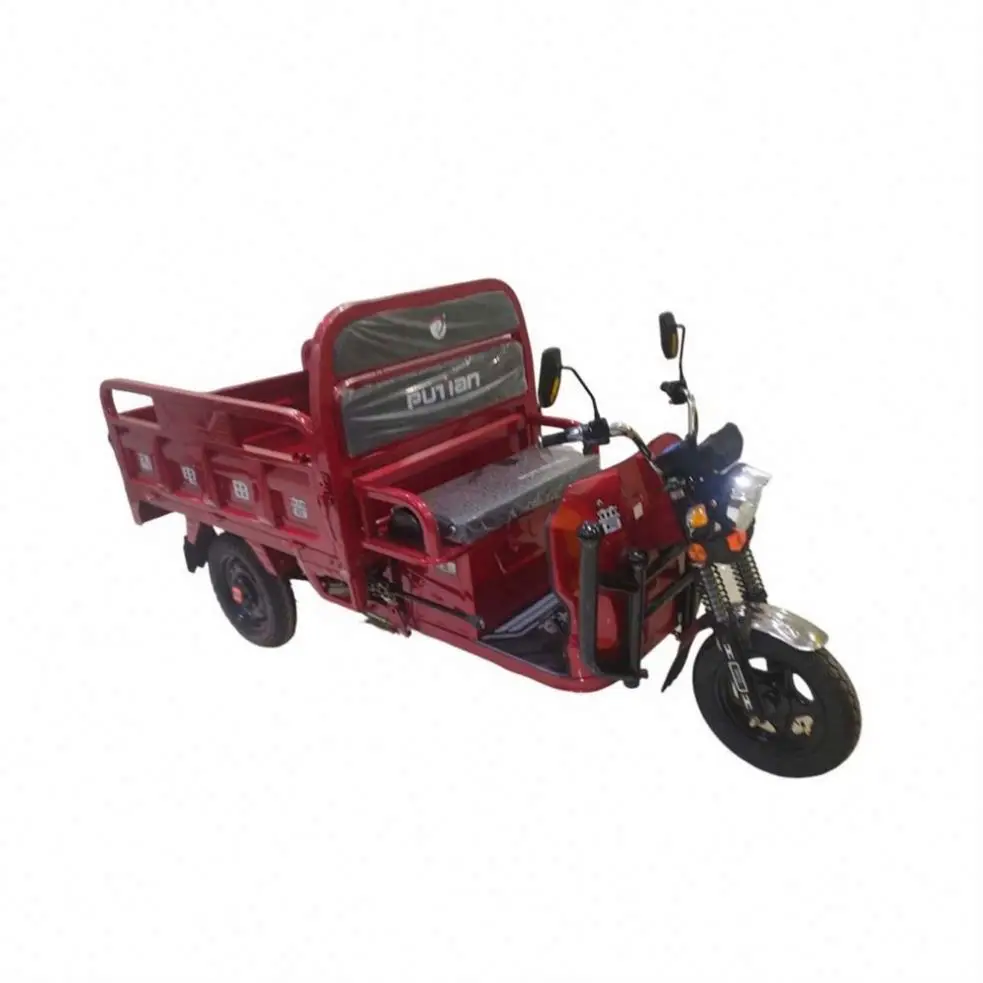 Foldable 100Kg 3 Wheel Electric Tricycle Ice Cream Bike for Sale