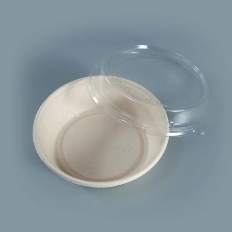 bio degradable packing oval serving tray sugarcane plates bagasse bowls