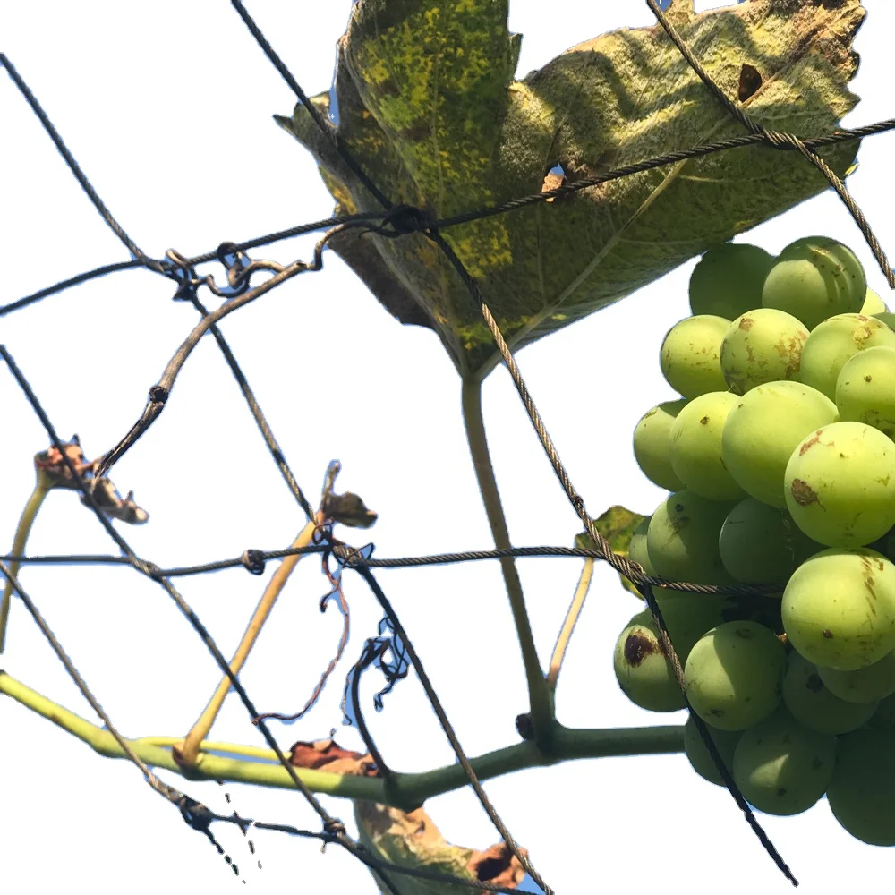 
hand woven stainless steel rope protection wire mesh fish farm rope mesh netting 