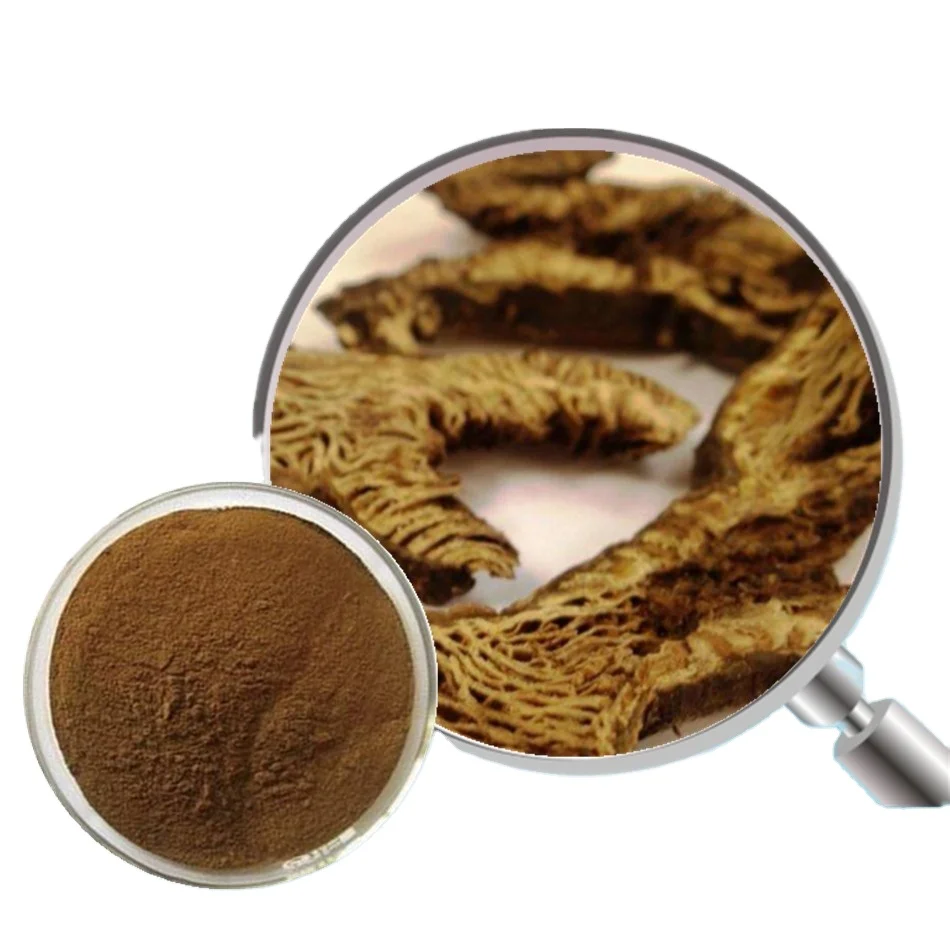 New batch Black Cohosh powder Extract, Cimicifuga racemosa extract with lowest price