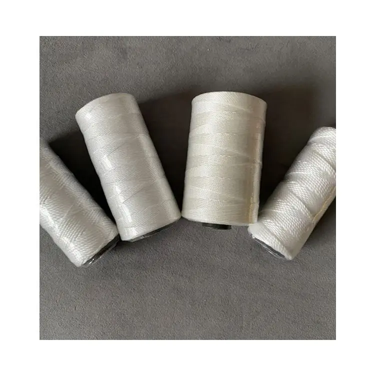 Manufacturer Supply 210D Polypropylene Pp Multifilament String Twine