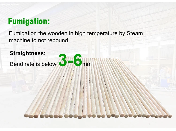 PVC Broom Head Mop Stick Plastic and Eucalyptus Wood Stick Household Floor Brooms with Dustpan for Home Use