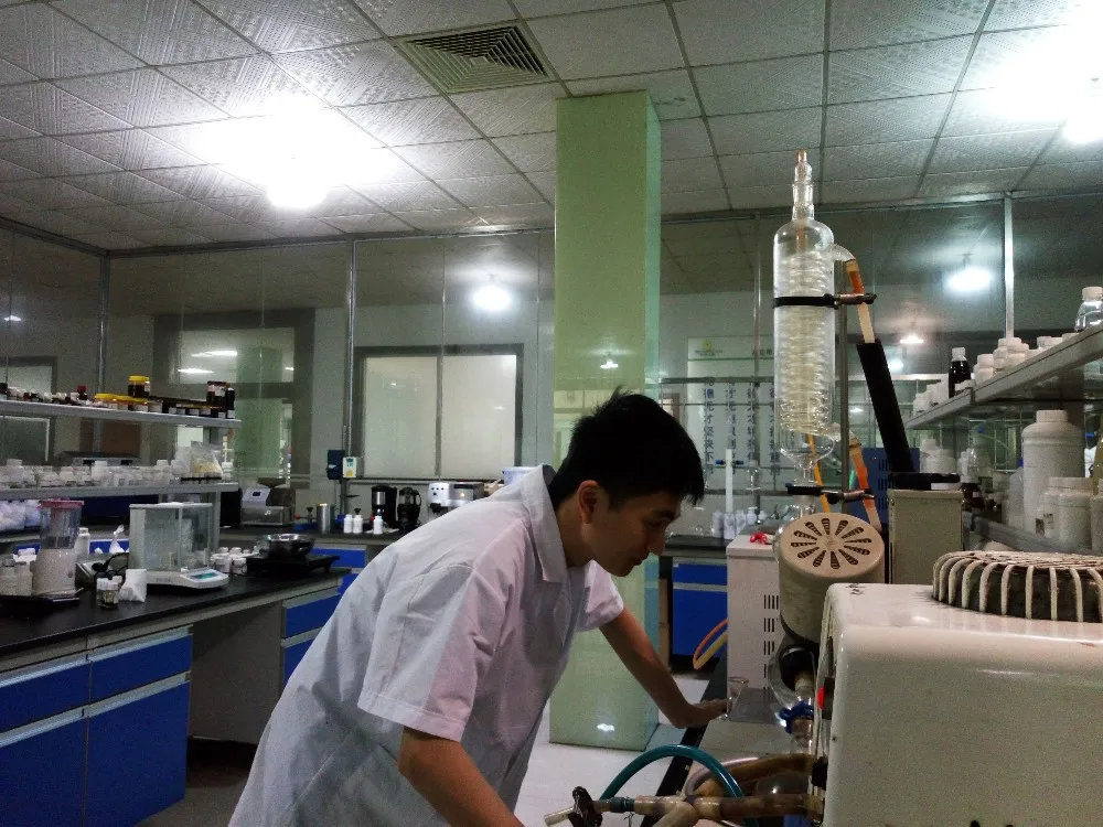 Orange Cheddar Cheese powder flavour  powder high concentrated for foods cheddar powder flavor