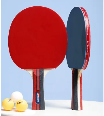 pingpong1.png