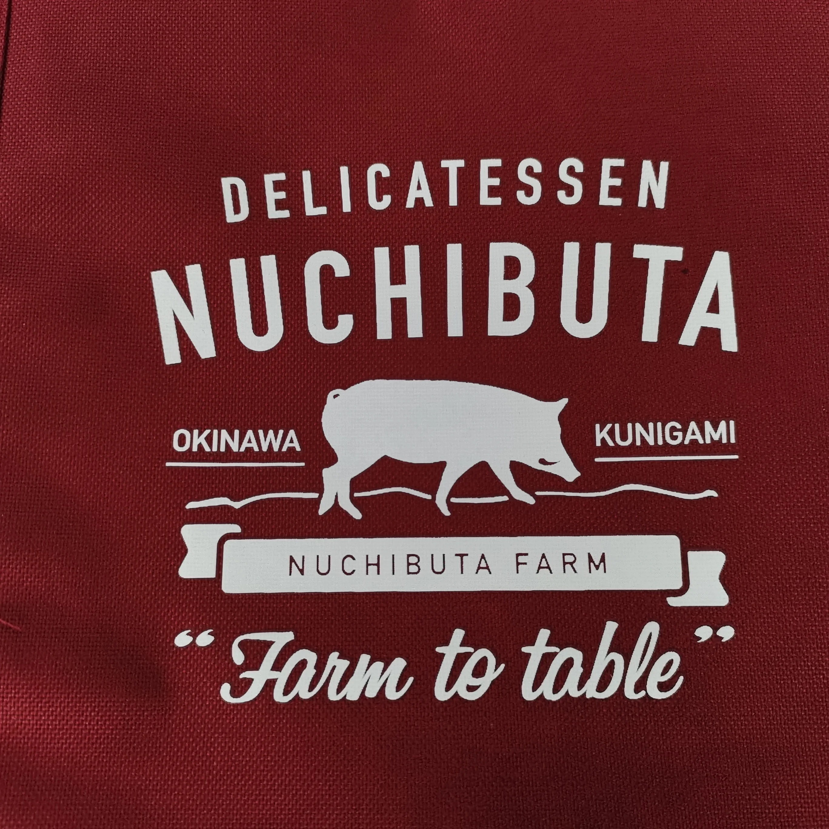 Waterproof Custom Soft Picnic Cooler Tote Bag Ladys Lunch Cooler Bags Custom Printed Cooler Bag