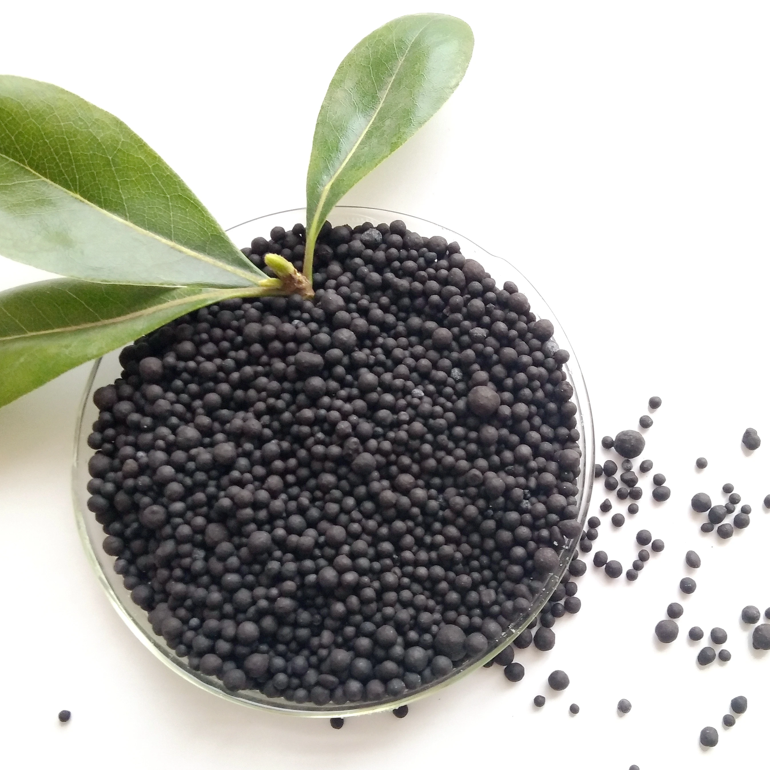 Best Organic Fertilizer Magical Fertilizer Rooting Agent