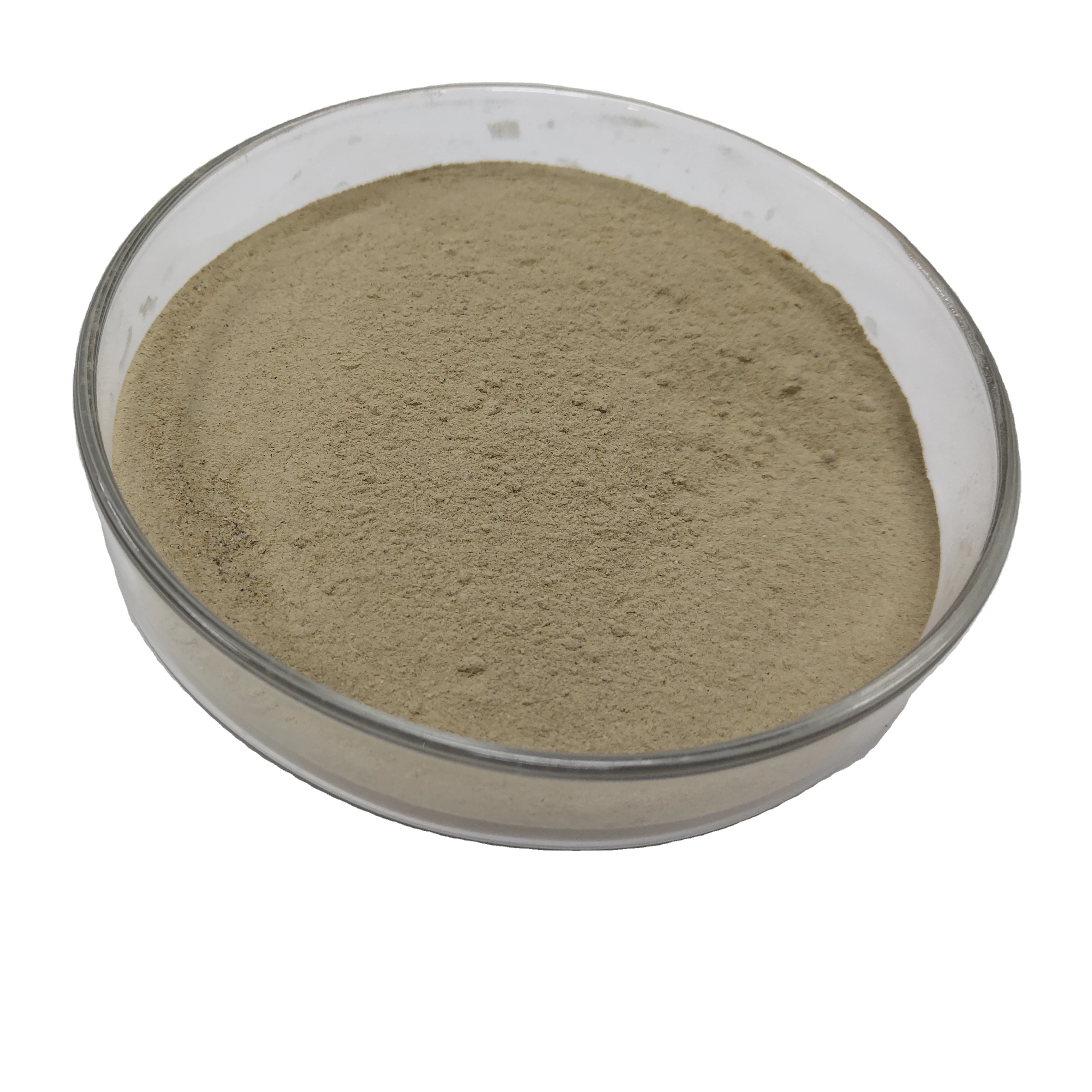 Заводская распродажа различные новые виды порошок Lactobacillus Plantarum