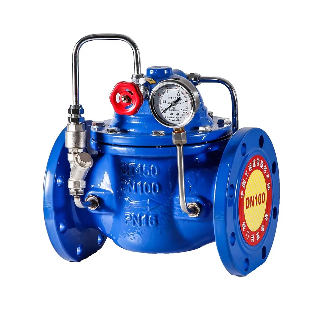 Stainless Steel 304 Cf8m Bsp Thread Vertical Spring Loaded Non Return Check Valve 1000wog