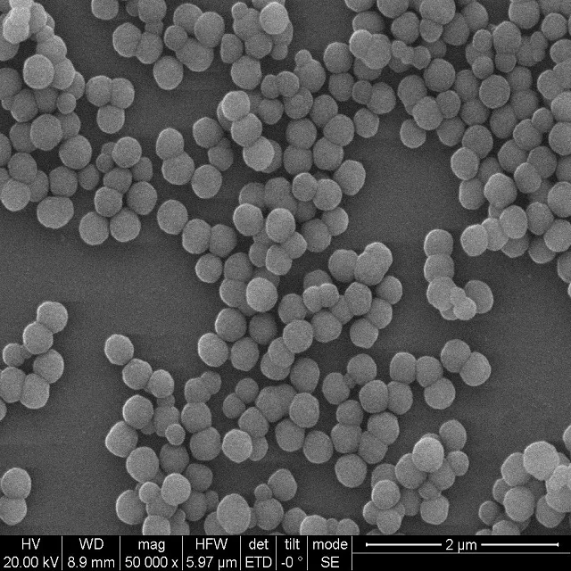 RebeceBeads Mag OH C1 Magnetic Nano Microspheres for Tissue genome  isolation