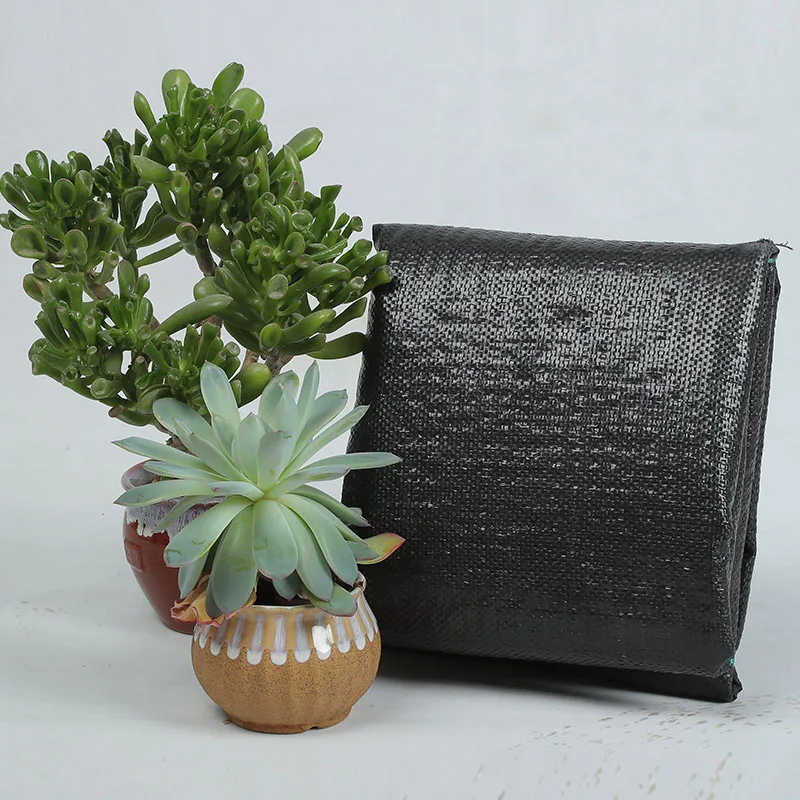 Custom-Size PP Woven Membrane PE Ground Cover Mesh Weed Mat Roll Anti-Grass Control Cloth for Garden Supplies Mulch Film