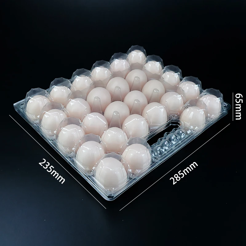 wholesale empty transparent disposable blister plastic packaging egg tray