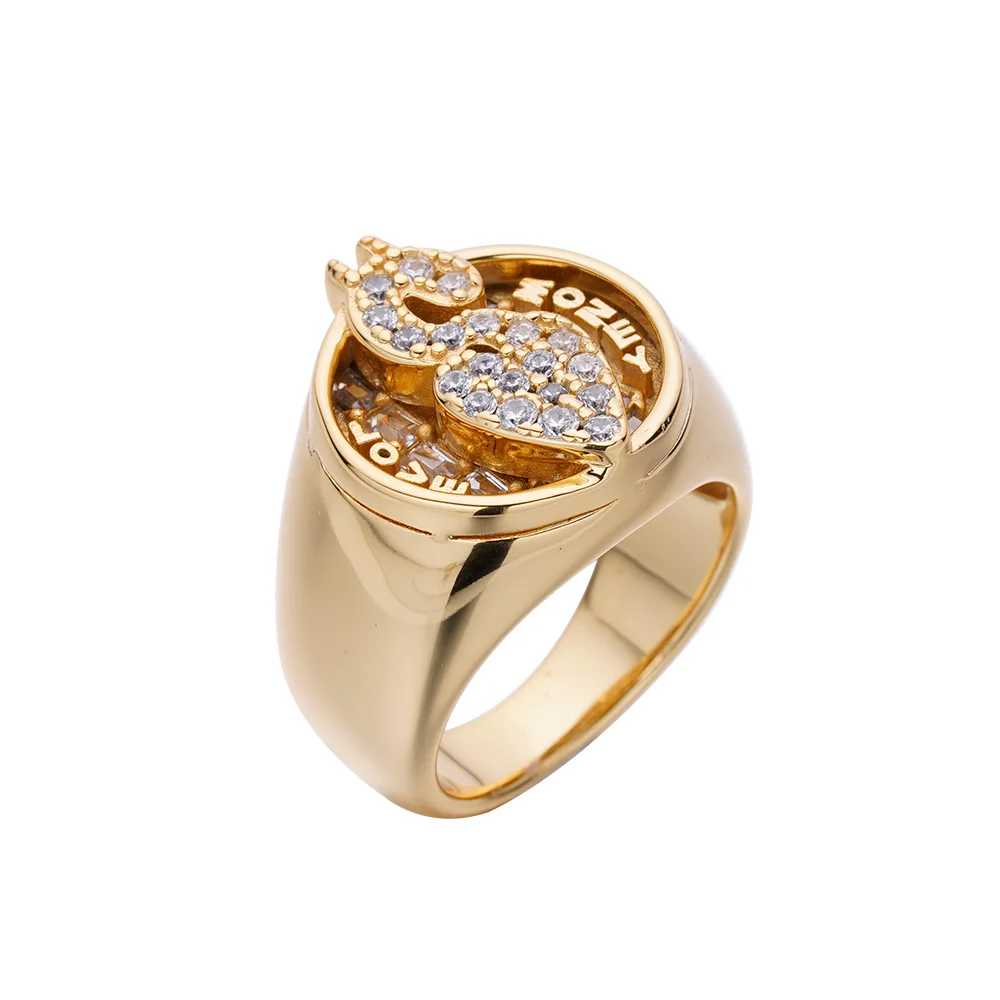 High Quality Hip Hop Custom Jewelry Signet 9k 10k 14k 18k Gold Plated Brass Signet Love Money Dollar Ring