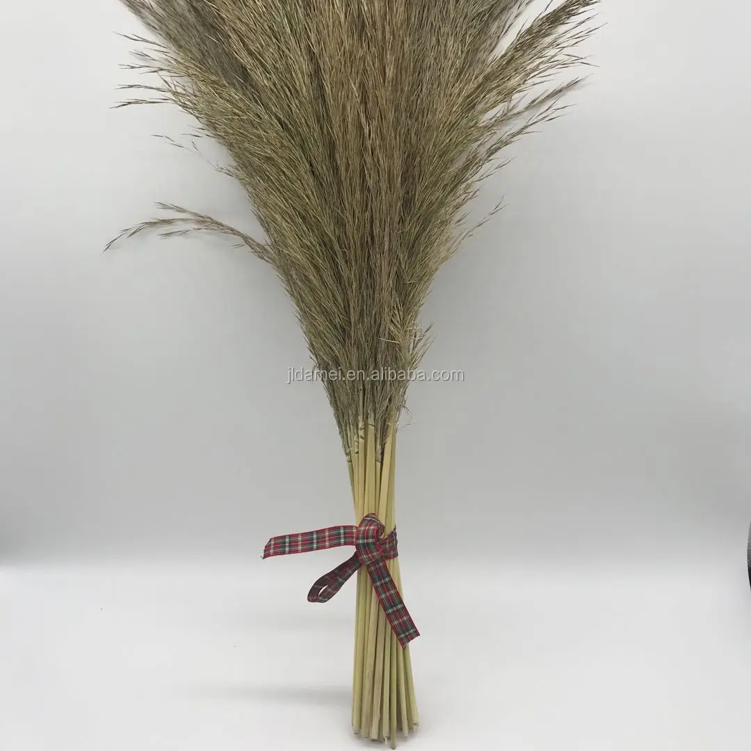 
The interior is decorated with green dried flowers and reeds 