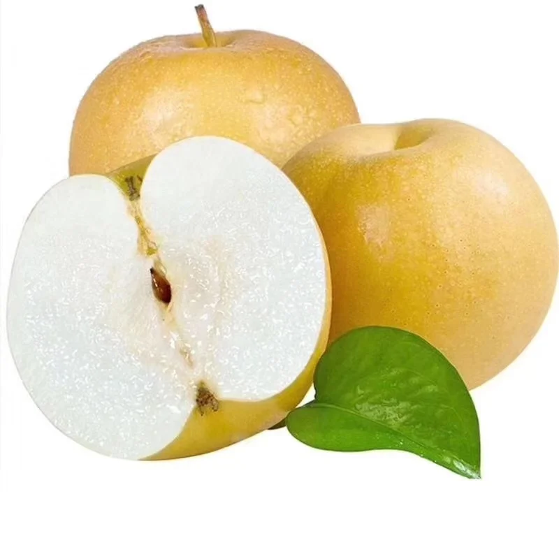 2023 новый урожай свежей Синго груши на экспорт