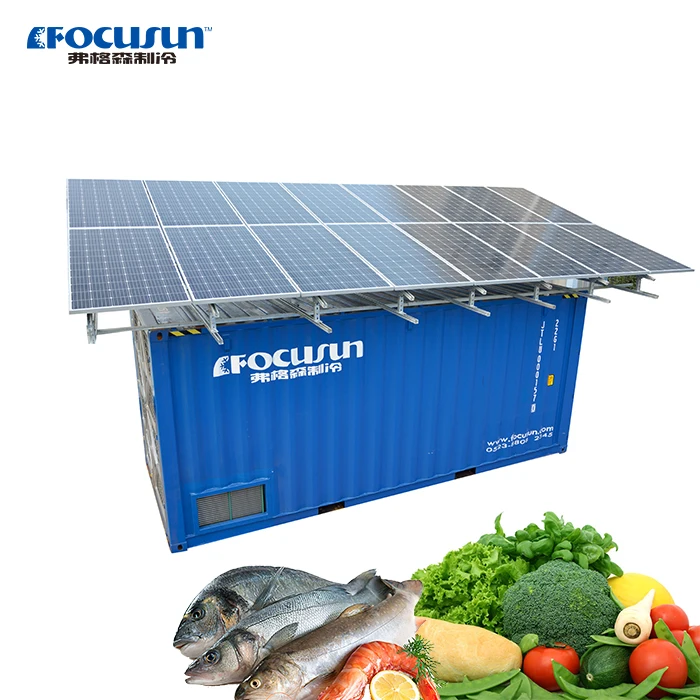 20ft Energy-saving Fresh Food Goods Solar Power Container Cold Room Storage