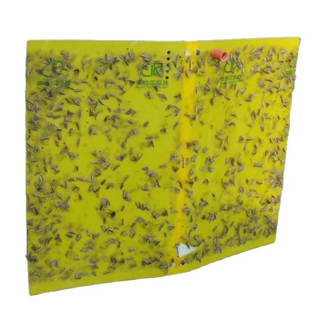 Effective pest glue board insect sticky trap aphids catcher whitefly control leafminer killer