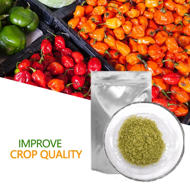 factory organic fertilizer npk water soluble fertilizer npk fertilizer 20-20-20