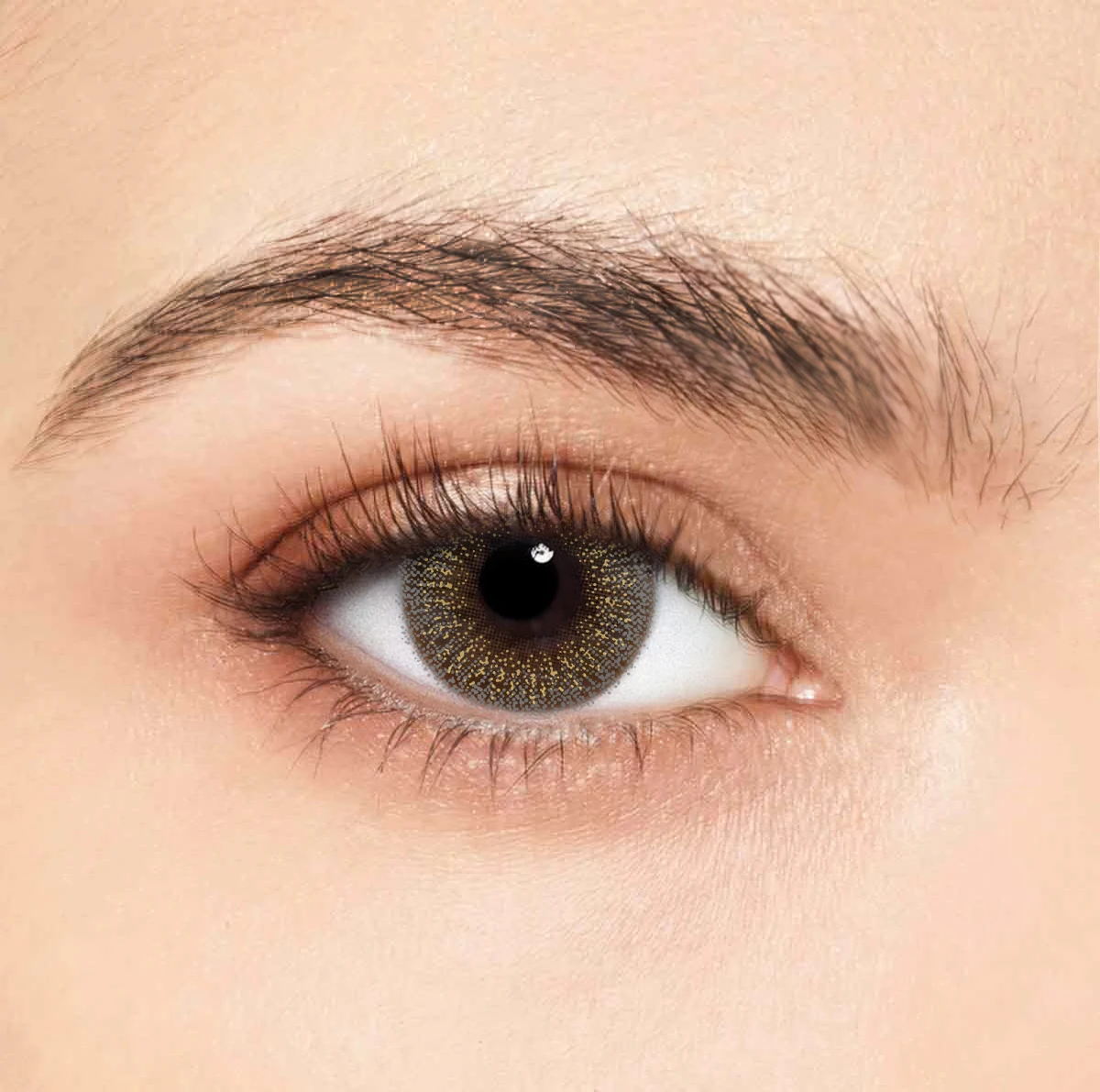 colored contact lenses  using cycle 6 months popular lenses for USA market