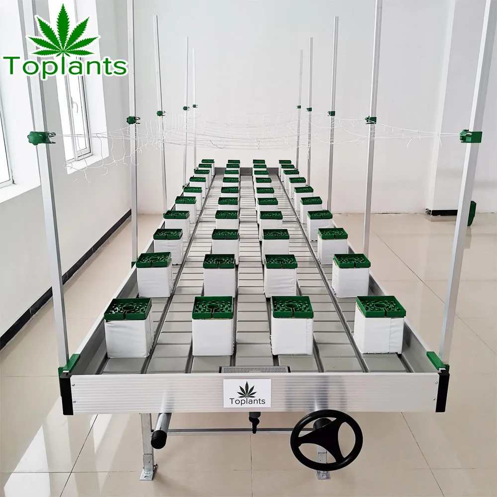 Products ordering ABS plastic ebb and flood benches rolling trays wholesale hydroponic system