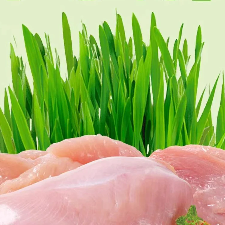 Wholesale Freeze Dried Catgrass Granule Health Label Pet Food Freeze Dried Cat Grass Granules