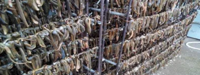 Industrial Cabinet dryer fruit Dryer leech Drying machine  heat pump dryer factory whole sale price industry commercial price