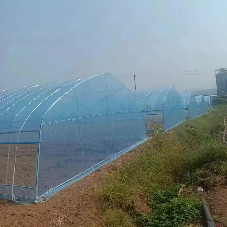 Commercial Tunnel Hydroponic Systems Single-span Greenhouses Equipment For seeding breeding  Single-span Greenhouses