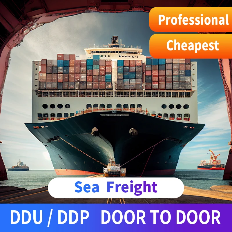 Professional DDP Shipping Agent Service Sea Freight China to USA Seattle Freight Forwarder