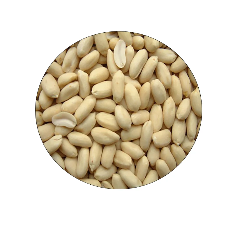 OEM 22 Years Expertise Chinese Factory Wholesale High Quality Best Price Long Type Blanched Peanuts Food Grade