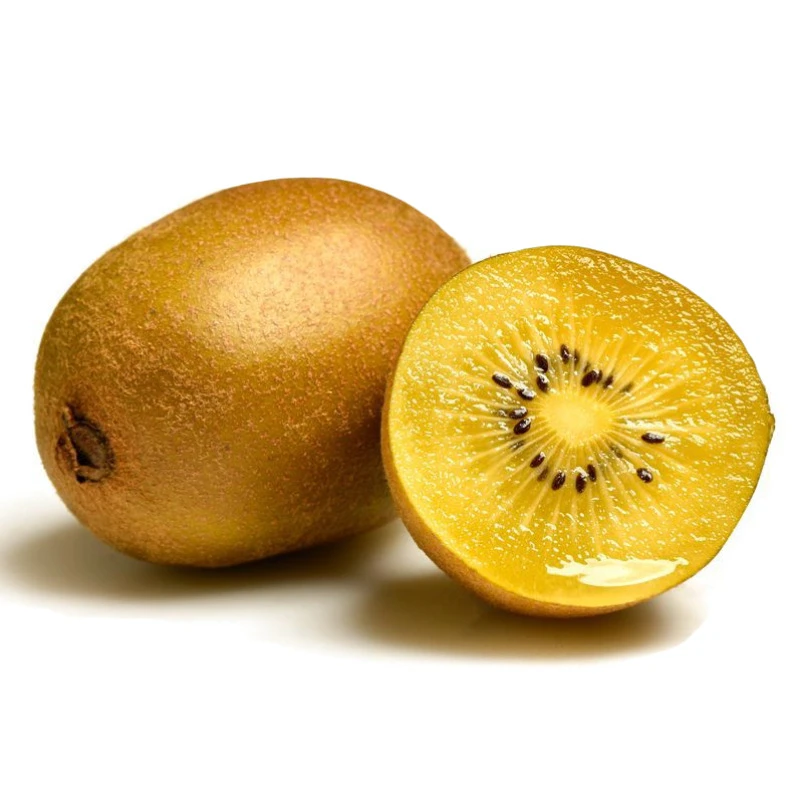 2021 wholesale gold Top Grade fresh kiwi fruit (1600327783029)
