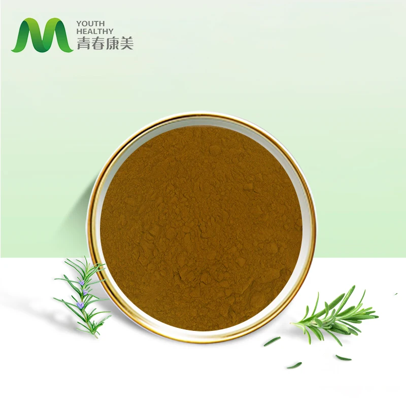 High Quality Food Grade Rosemary Herb Extract Powder 3% Rosmarinic Acid 98%