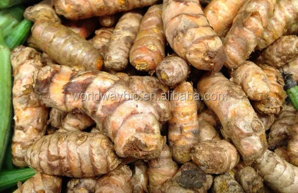 Water Oil Soluble Turmeric Extract Powder Curcumin