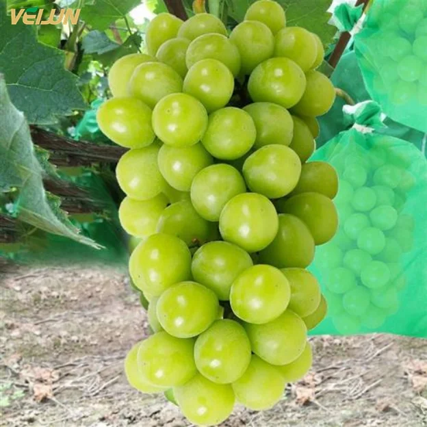 Помело из манго, овощи гуавы, ПП, Нетканая ткань спанбонд, защита от птиц, от насекомых, Защитная сумка для разведения фруктов