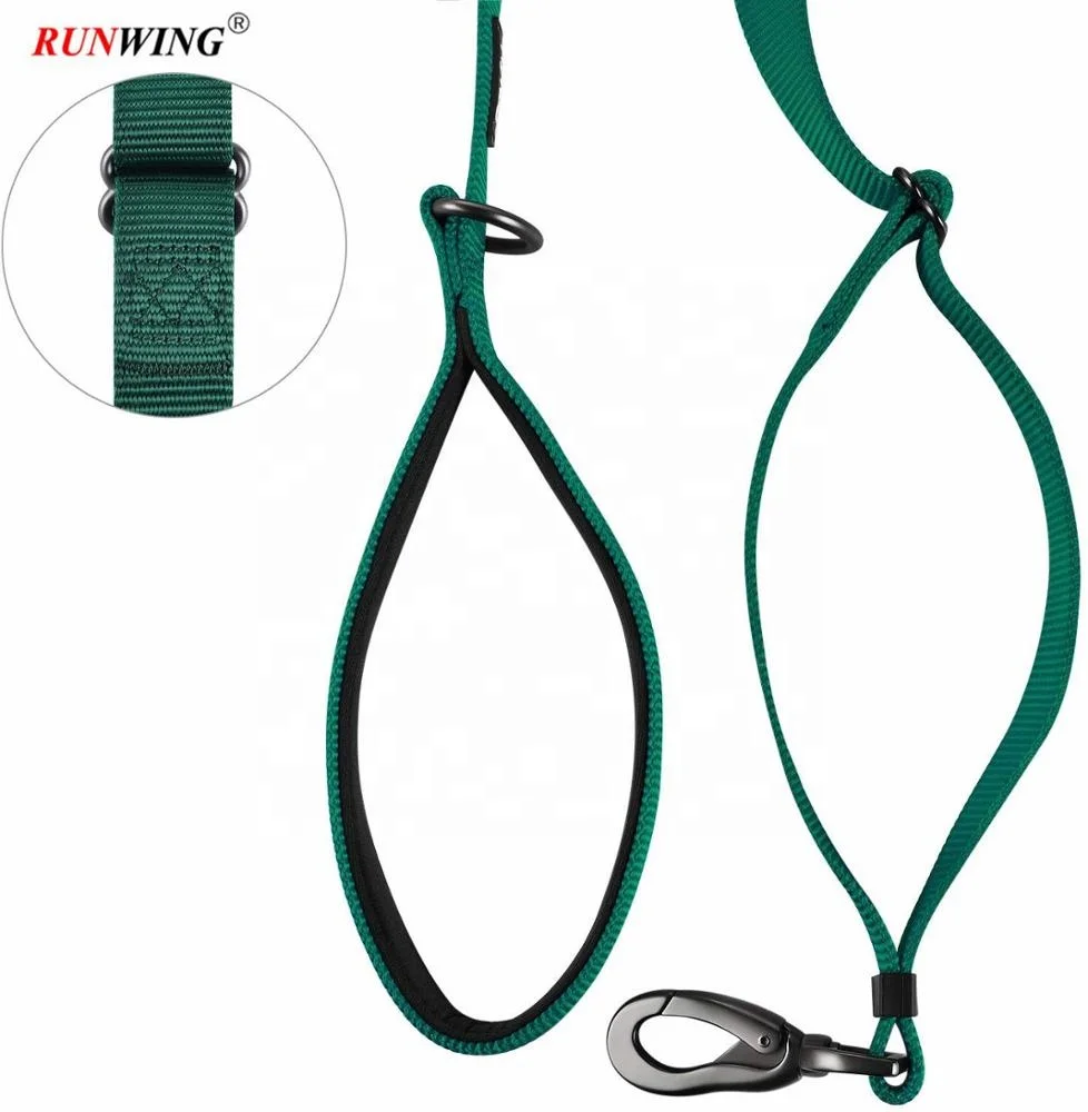 Dog Leash Adjustable Nylon Webbing Dog Leash Lead 6ft with Carabiner for Medium Large Dogs