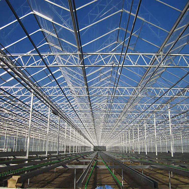 10 Years Warranty 10mm Polycarbonate Sheet Agricultural Greenhouses  for Sale